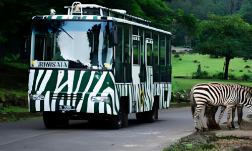 5 Ide Kegiatan di Taman Safari yang Seru dan Wajib Dicoba